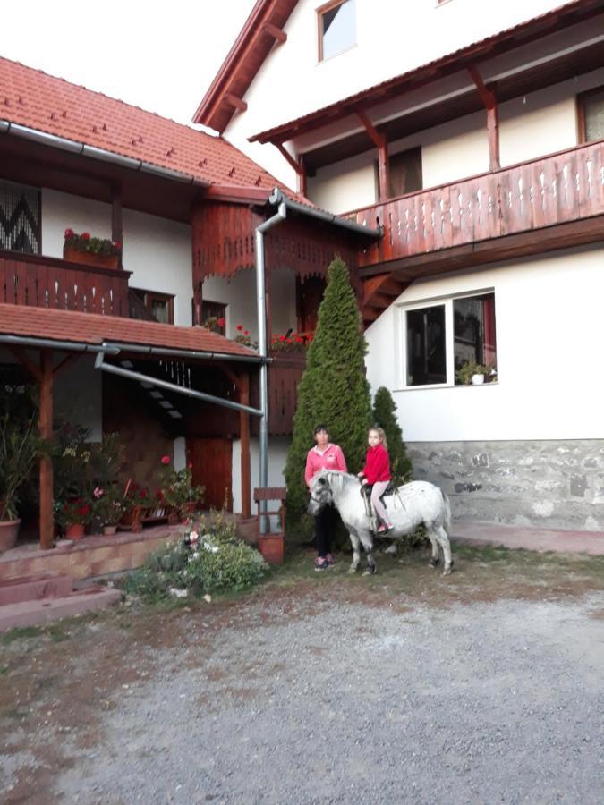 Molnar Vendeghaz Bed & Breakfast เปรอิด ภายนอก รูปภาพ