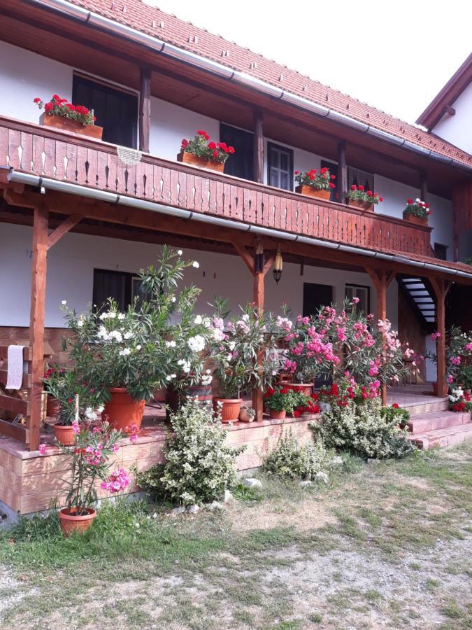 Molnar Vendeghaz Bed & Breakfast เปรอิด ภายนอก รูปภาพ